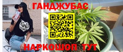 крисы Новозыбков