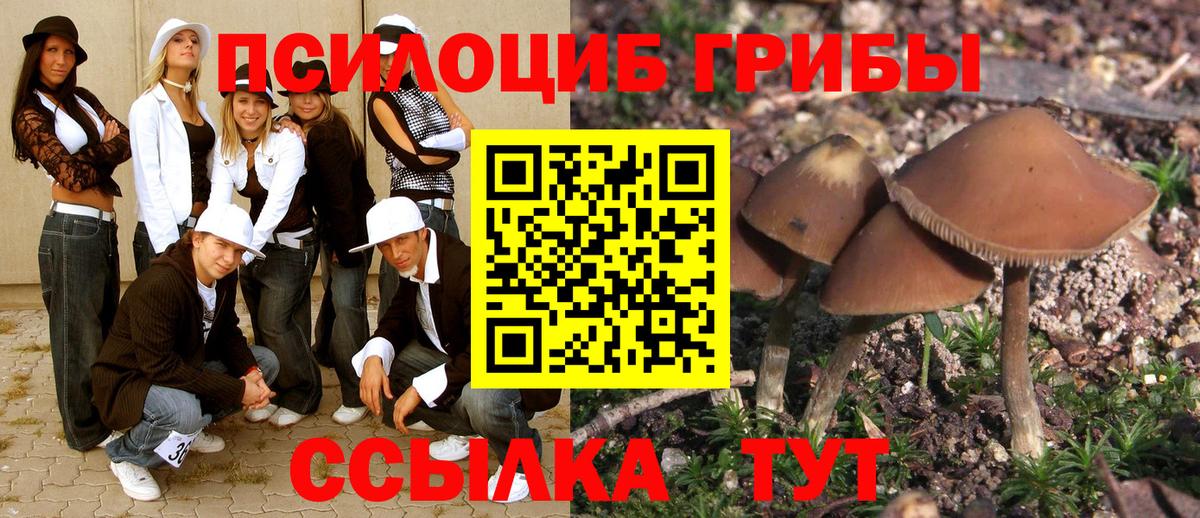 Псилоцибиновые грибы Psilocybine cubensis Сатка