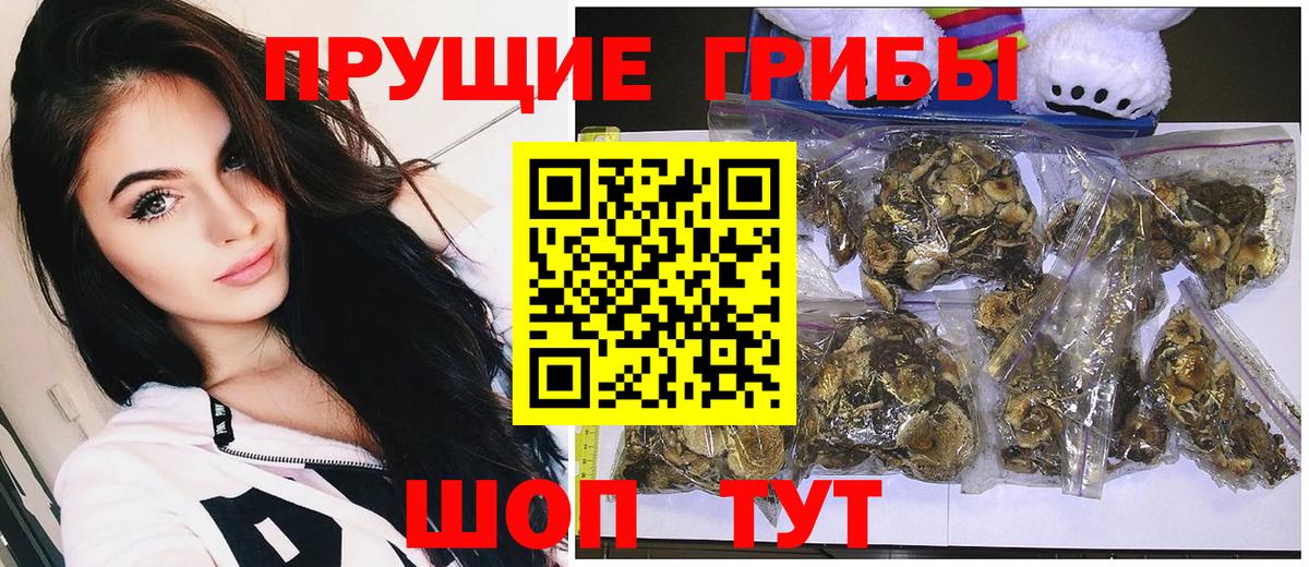 Сатка  Галлюциногенные грибы Cubensis  Вход с VPN 